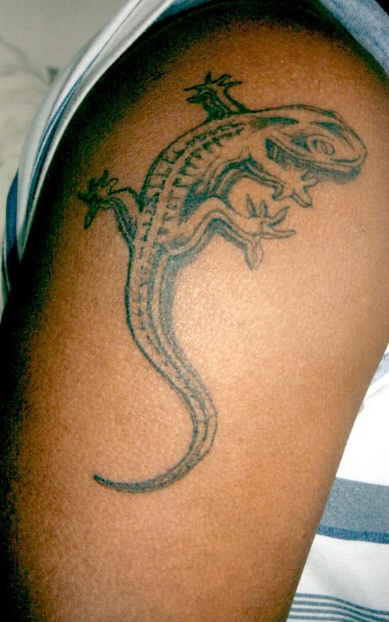 Animaux